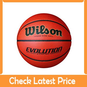 Wilson Evolution Game ball