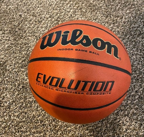 wilson evolution leather basketball